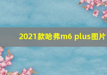 2021款哈弗m6 plus图片